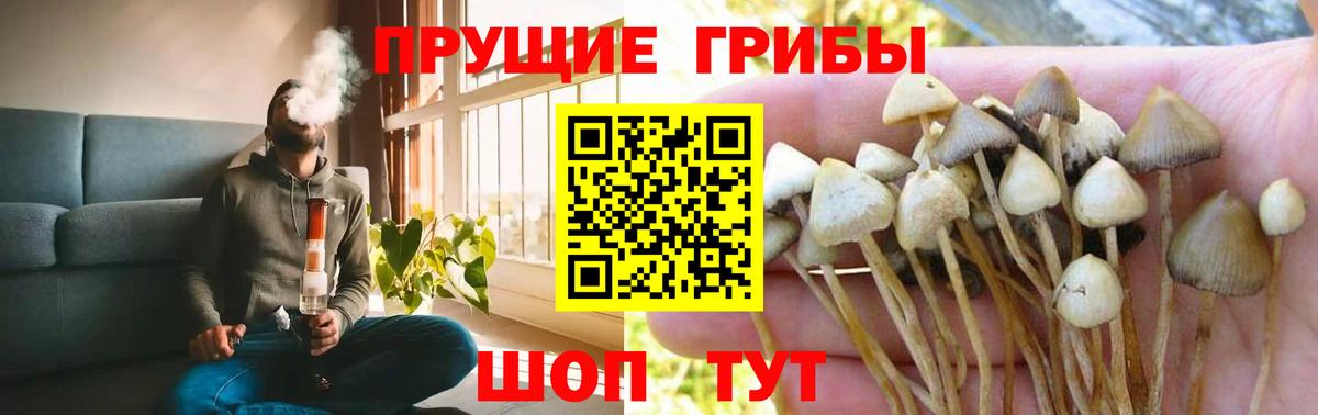 Сорочинск  Псилоцибиновые грибы мухоморы  Галлюциногенные грибы прущие грибы  Вход с VPN 